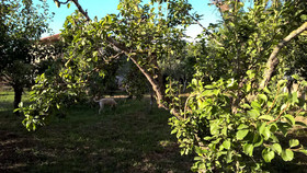 Casa Vacanza Summertime