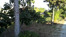 Casa Vacanza Summertime