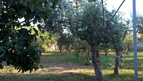 Casa Vacanza Summertime