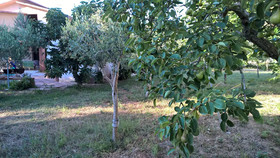 Casa Vacanza Summertime