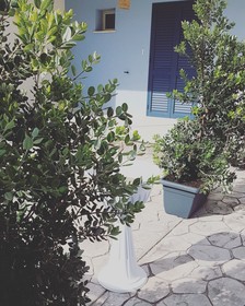 Sud 12 Ville sul Mediterraneo