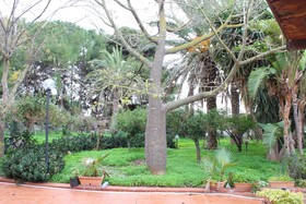Villa Delle Ninfee
