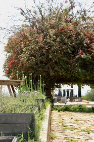 Masseria del Carboj