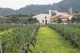 Tenuta Rasocolmo