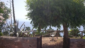 Covo degli Dei