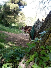 Sesima Turismo Rurale