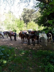 Sesima Turismo Rurale