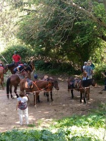 Sesima Turismo Rurale