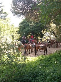 Sesima Turismo Rurale