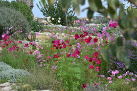 Antica Masseria Timparuci