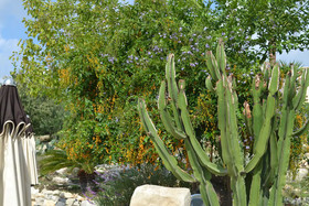 Antica Masseria Timparuci