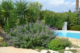 Antica Masseria Timparuci
