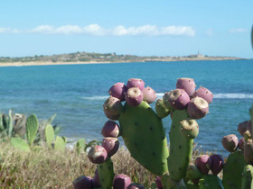 Blu Mare