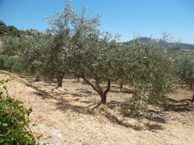 Agriturismo Due Ganeèe