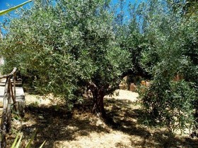 Agriturismo Due Ganeèe