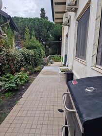 Althea Etna Garden
