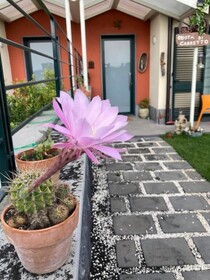 B&B Ruota Di Carretto