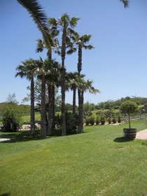 Tenuta Aguglia