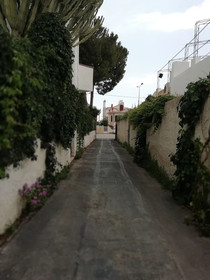 B&B Stella Marina