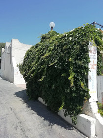 B&B Stella Marina