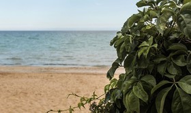 Casa La Conchiglia Sulla Spiaggia