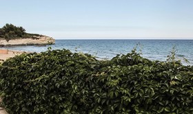Casa La Conchiglia Sulla Spiaggia