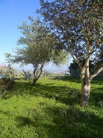Sierra Vento