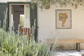 Tenuta Olive Alive