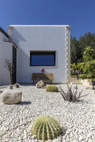 Tenuta Olive Alive