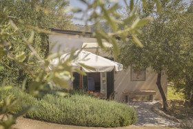 Tenuta Olive Alive