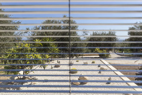 Tenuta Olive Alive
