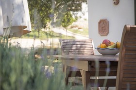 Tenuta Olive Alive
