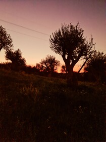 Terre Di Romanello Relais In Val Di Noto