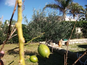 Villa Davima Marzamem