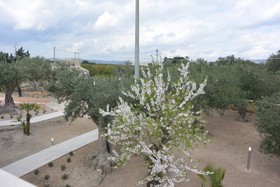 Villa Gioielli