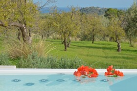 Villa Pettegola