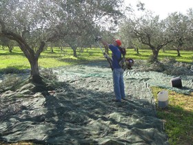 Bed and Breakfast La Zagara