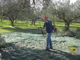 Bed and Breakfast La Zagara