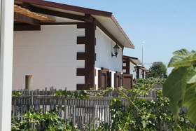 Area Camper Venere