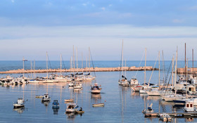 Harbor House