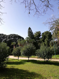120 Rodionoff B&B Palermo