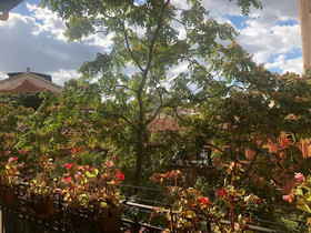 Arco Di Trionfo Palermo Bed & Breakfast