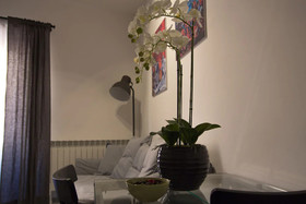 B&B Gallidoro Maqueda 124 St.