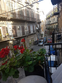 B&B Ponticello