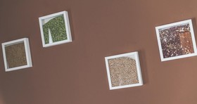 Bio Hotel Palermo