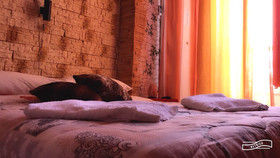 Camelot Bed & Breakfast