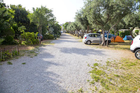 Camping degli Ulivi
