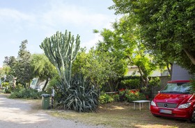 Camping degli Ulivi