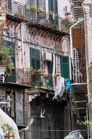Casa Triskele