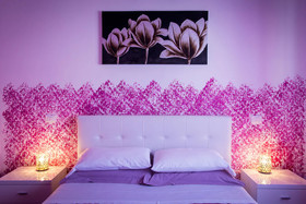 Colors B&b